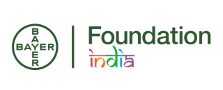 Foundations and Public Organisations